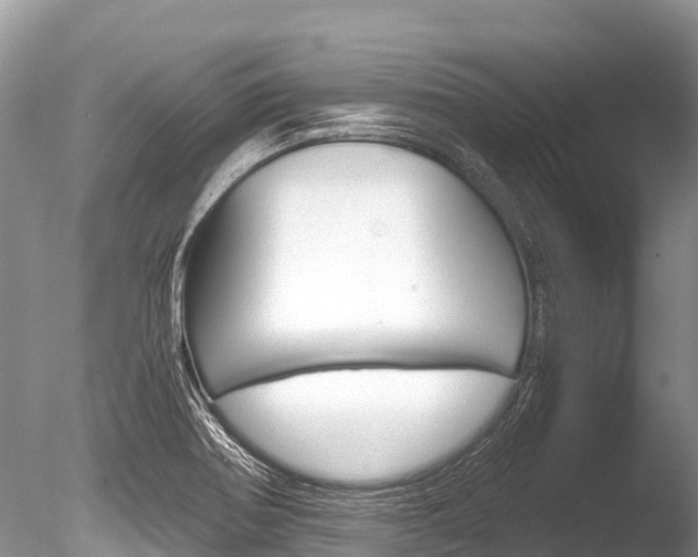 X0000086261370200703291051