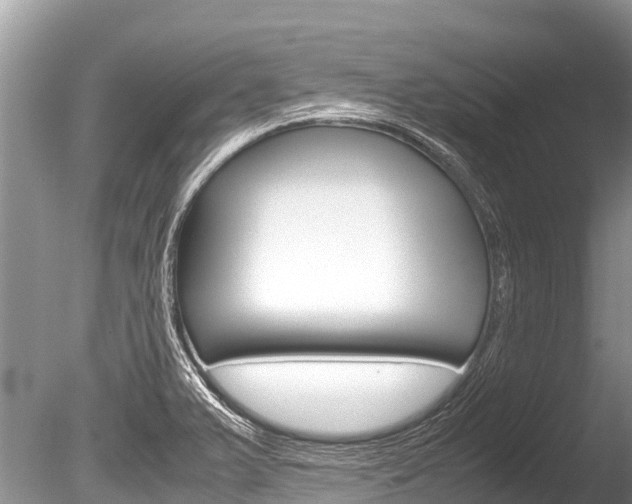 X0000086261375200703291051