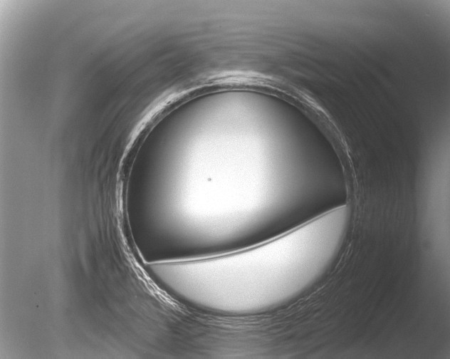X0000086261376200703291051