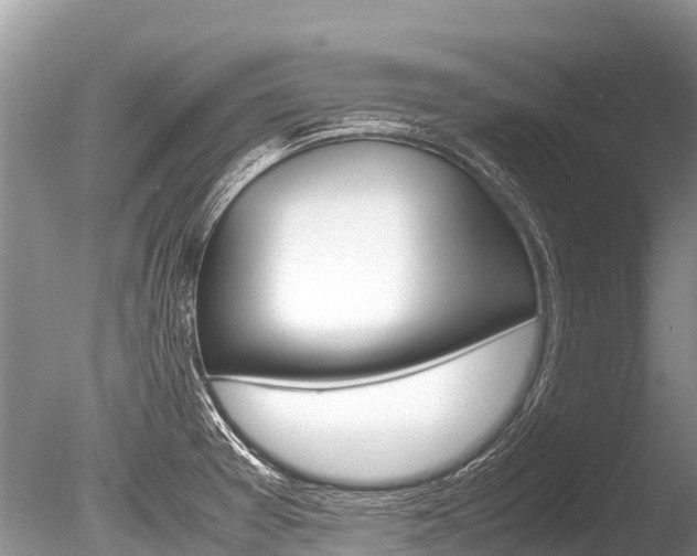 X0000086261377200703291051