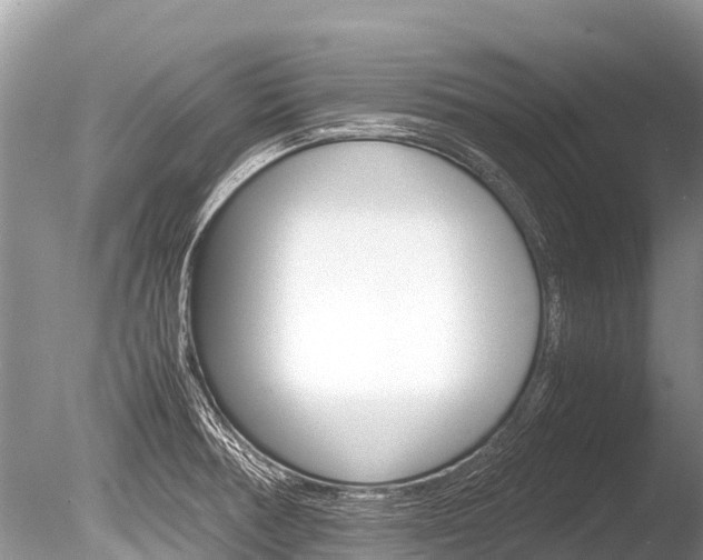 X0000086261378200703291051