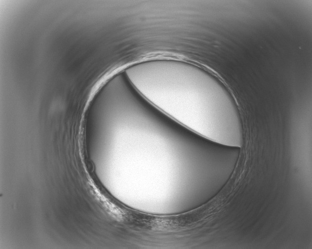 X0000086261379200703291051