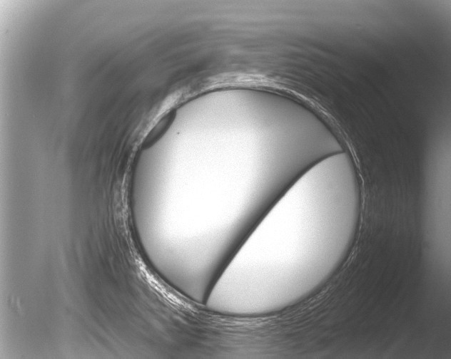 X0000086261382200703291051