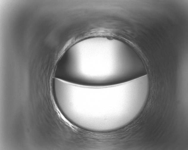 X0000086261383200703291051