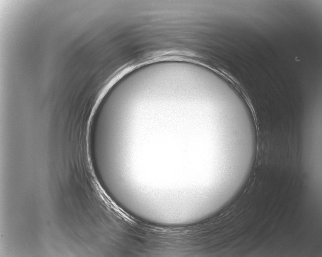 X0000086261384200703291051