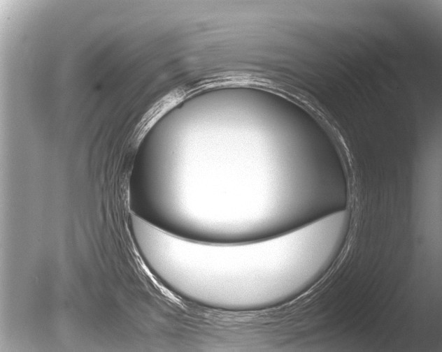 X0000086261385200703291051