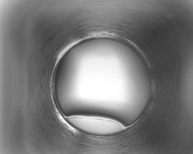 X0000086261387200703291051