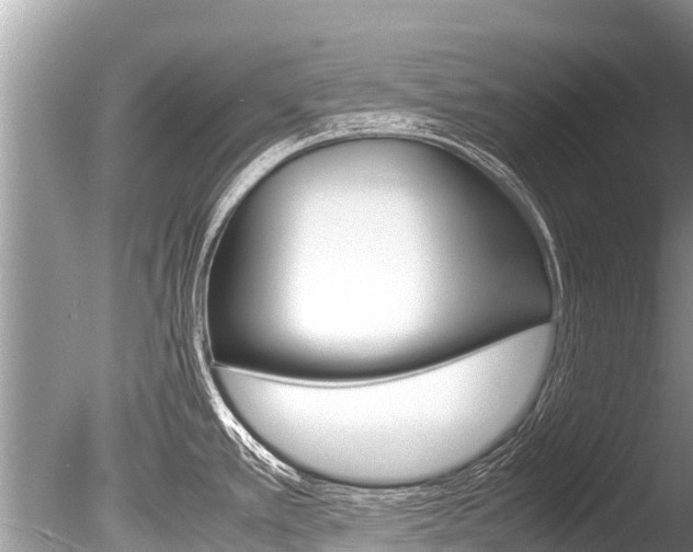 X0000086261389200703291051