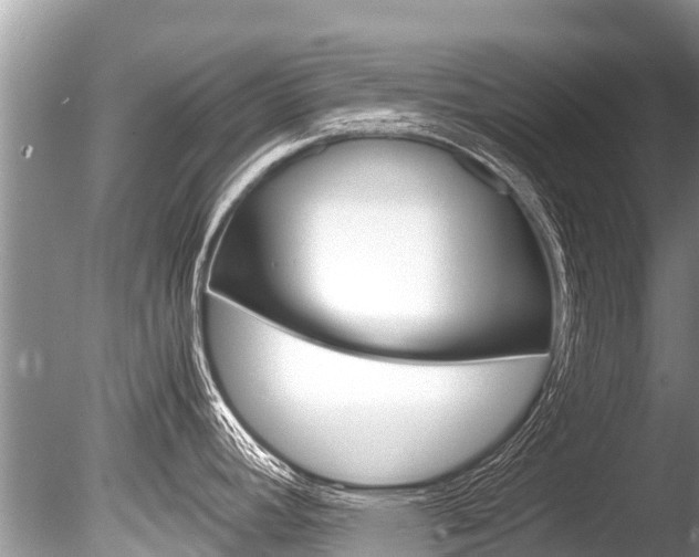 X0000086261392200703291051