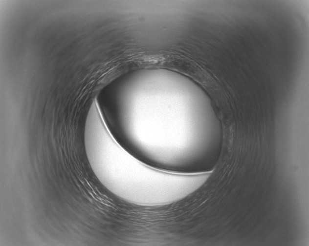 X0000086261394200703291050