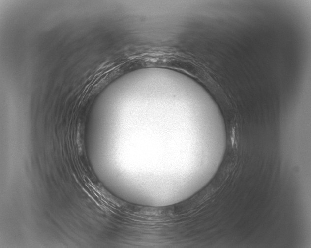 X0000086261396200703291050