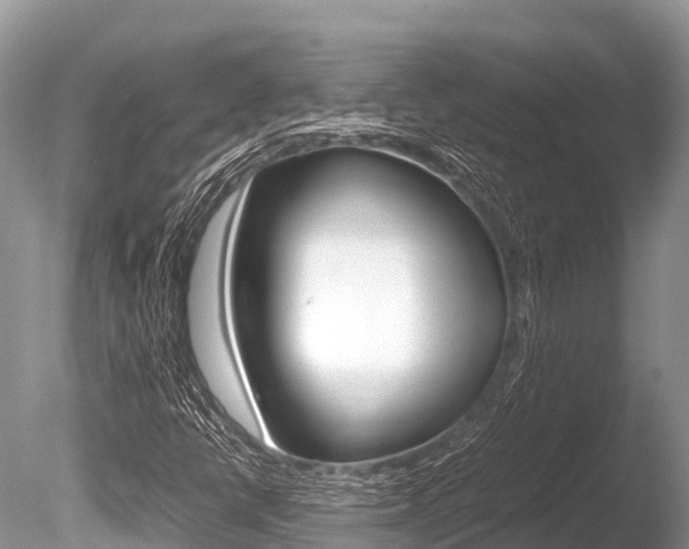 X0000086261398200703291050