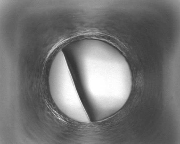 X0000086261400200703291050
