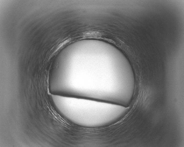 X0000086261401200703291050