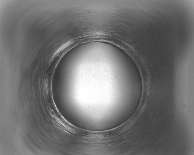 X0000086261402200703291050