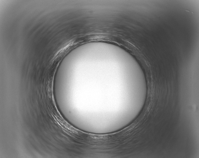 X0000086261403200703291050