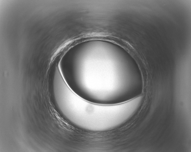 X0000086261406200703291050