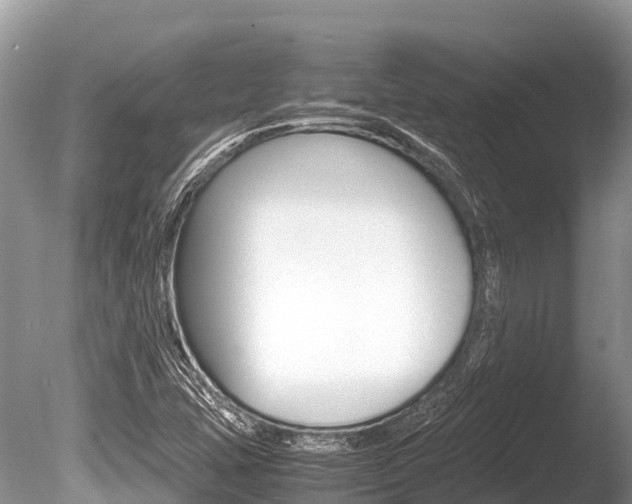 X0000086261407200703291050