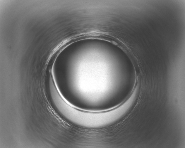 X0000086261410200703291050
