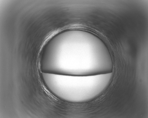X0000086261413200703291050