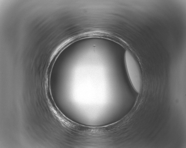 X0000086261418200703291050