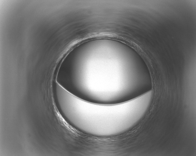 X0000086261422200703291050