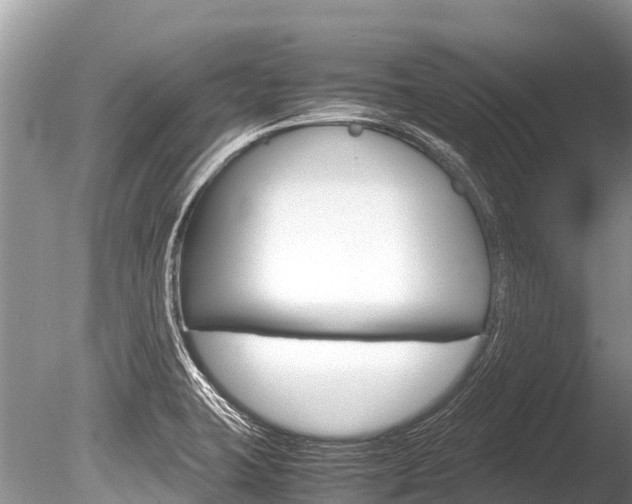 X0000086261423200703291050