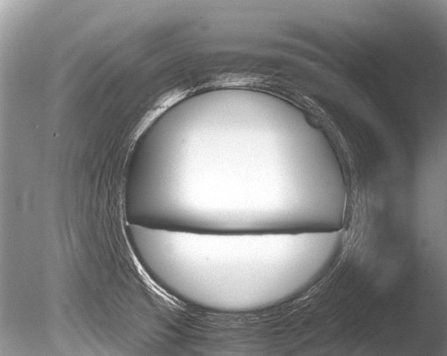 X0000086261425200703291050