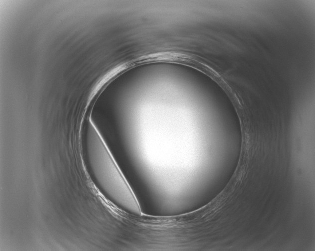 X0000086261426200703291050