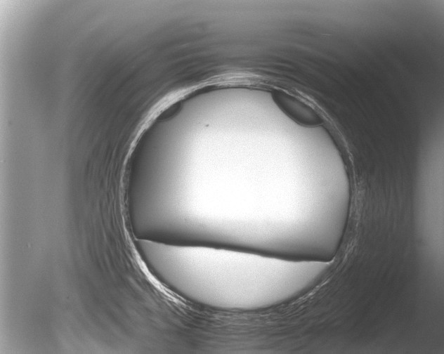 X0000086261429200703291050