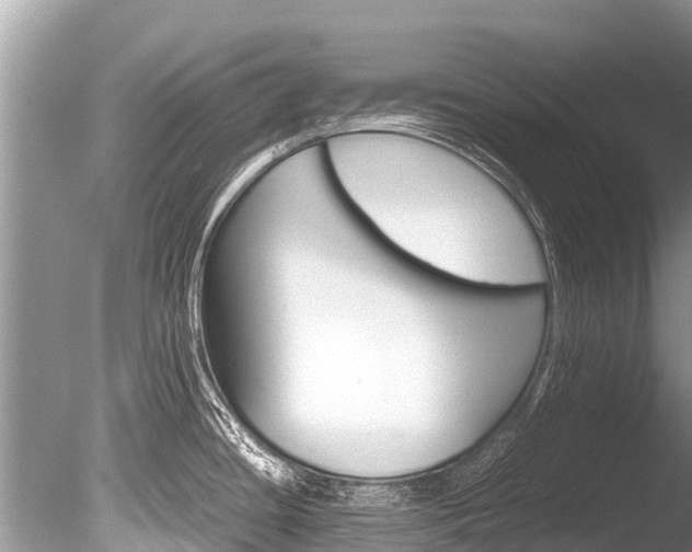 X0000086261436200703291050