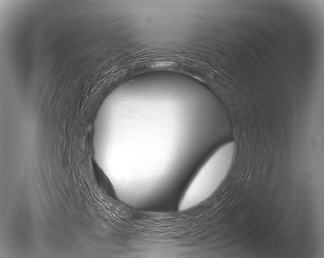 X0000086261441200703291050