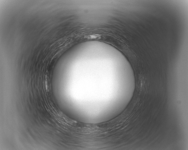 X0000086261442200703291050