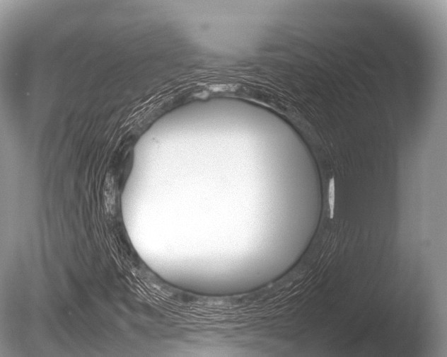 X0000086261443200703291050