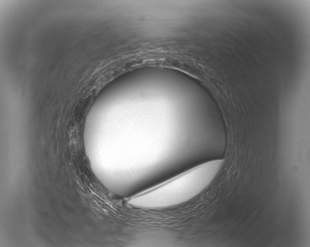 X0000086261445200703291050