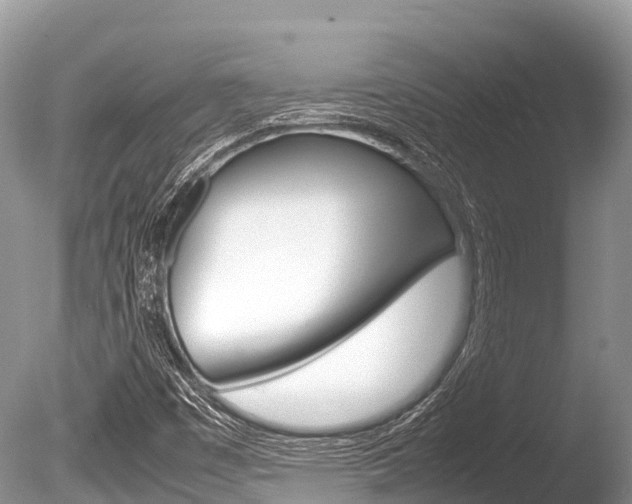 X0000086261449200703291049
