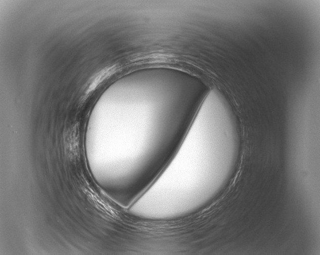 X0000086261450200703291049