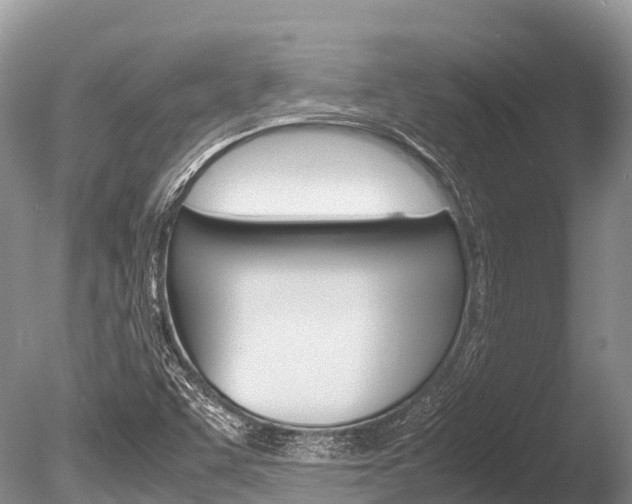 X0000086261455200703291049