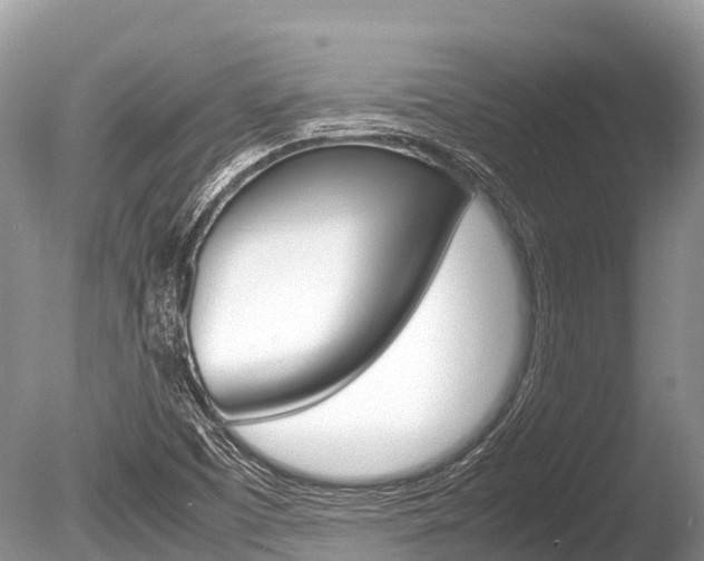 X0000086261457200703291049