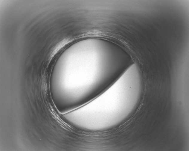 X0000086261458200703291049