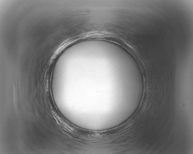 X0000086261459200703291049
