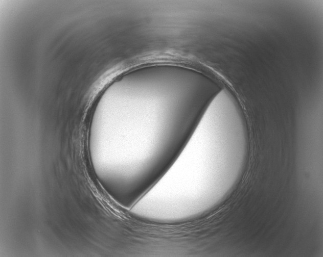 X0000086261463200703291049