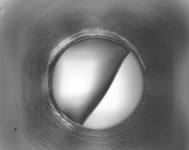 X0000086261464200703291049