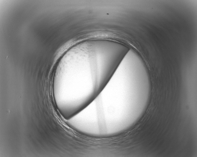 X0000086261467200703291049