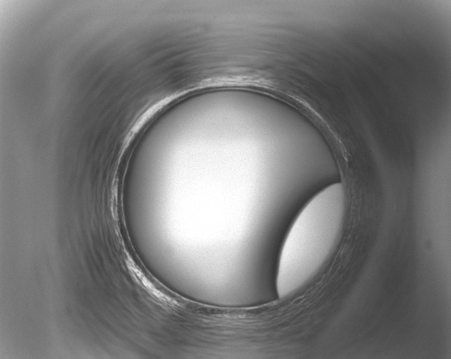 X0000086261468200703291049
