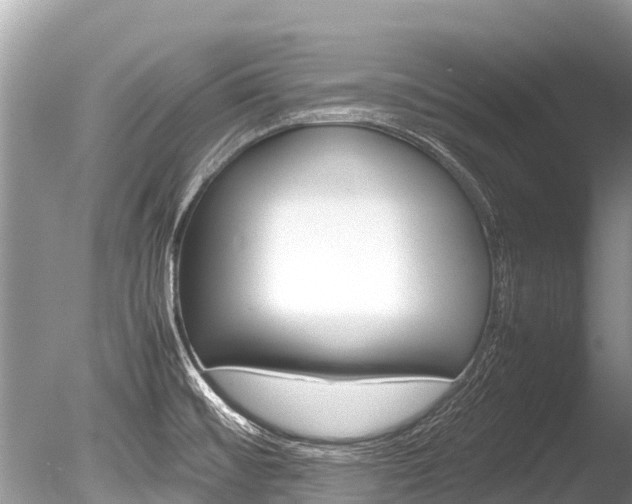 X0000086261476200703291049