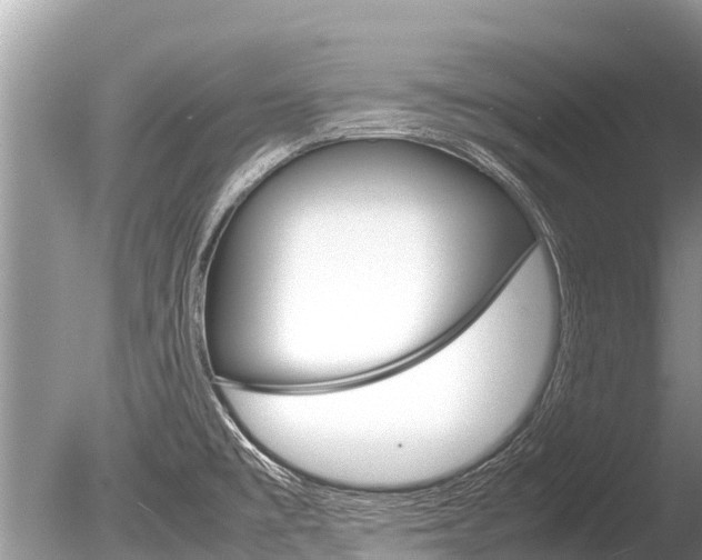 X0000086261477200703291049
