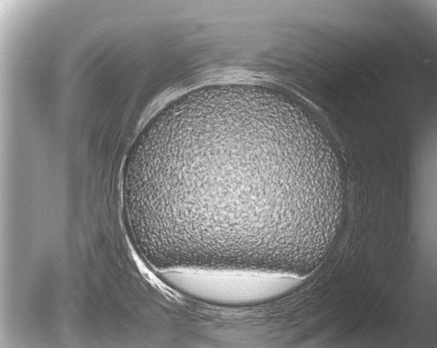 X0000086261479200703291049