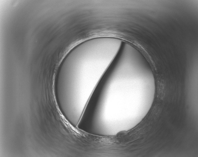 X0000086261480200703291049