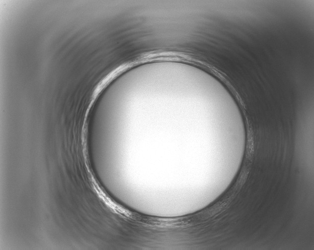 X0000086261482200703291049